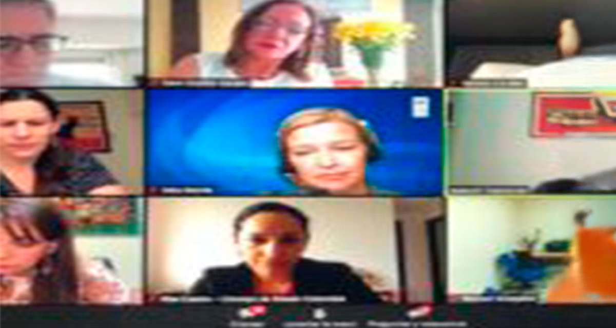 Seminario virtual junto a OGP